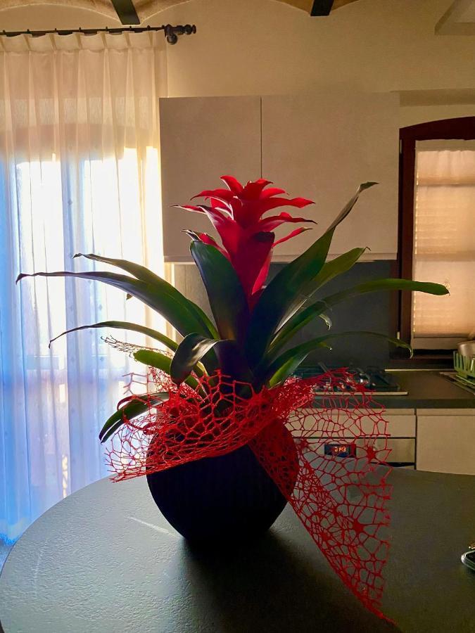 B&B Terrazza Sul Borgo Mogliano Luaran gambar